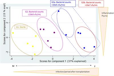 Monocyte-derived dendritic cells can be detected in urine of kidney transplant recipients with pathogenic asymptomatic bacteriuria